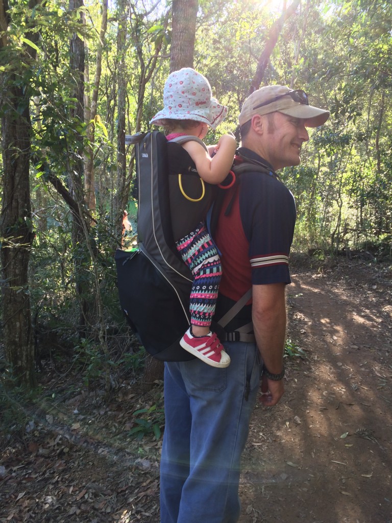 cross country s2 child carrier